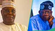 Atiku asks Appeal Court to explain why Tinubu’s legal team watermark appears on tribunal judgment