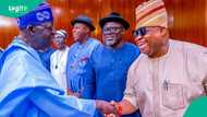 Breaking: Gov Adeleke reacts as Tinubu makes top appointment