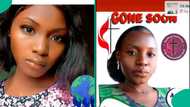 Nigerian lady working as POS attendant reportedly dies after truck rammed into her shop in Jalingo