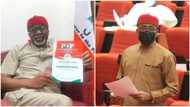 Prominent PDP senator joins APGA hours after dumping lead opposition party