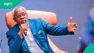 Fake Agency: Analyst speaks on Gbajabiamila’s ‘innocence’, advices next action
