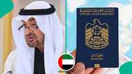 UAE releases requirements for 5-year multiple-entry tourist visa, mentions minimum bank balance