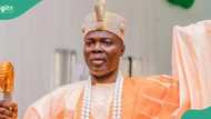 Nigerian monarch raises alarm over drone-wielding insurgents, rallies support for army