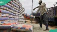 Senate approves $1bn Lafarge sale to Chinese firm, giving Dangote, BUA Cement a powerful new rival