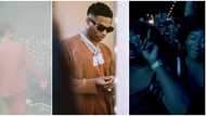 I live for this: Fans go wild as Wizkid shutdown concert in New York City
