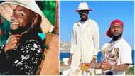 Is that sapa? Hilarious reactions as Davido asks lawyer to borrow him money in Greece