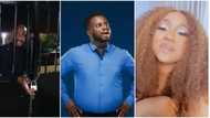 "To think dis is Pete Edochie's son": Sabinus, Nasboi & Samklef reacts to viral video of Judy & Yul fighting