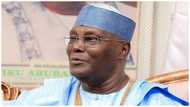 2023: I already have 11 million votes, Atiku boasts, woos PDP NWC for presidential ticket