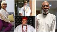 Father's Day: Pete Edochie, Olu Jacobs, RMD, 11 other men feature in emotional video by actress Hilda Dokubo