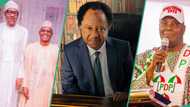 "Northern political forces regrouping": Shehu Sani explains why Atiku, others visited Buhari