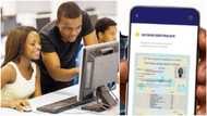 WAEC digital certificate: How to access, share and confirm your certificates online in simple steps