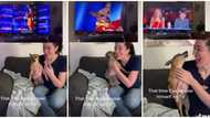 What a pet: Emotional dog screams as it sees itself on TV, sweet video goes viral and stirs mixed reactions