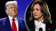 Trump vs Kamala Harris: List of battleground states and why they will determine the winner