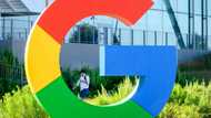 Google-parent Alphabet's profit slips as growth slows