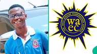 WAEC 2025 result of science student emerges online, family hails her impressive performance