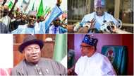 How politicians, govt officials got ‘mysterious’ money to purchase presidential forms amid hardship