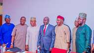 Senate declares support for concession of Zungeru Hydroelectric project