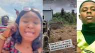 "See fresh blood in Mohbad's coffin": Lady cries out after singer's body was exhumed, video trends