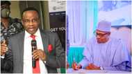 President Buhari sacks top government official, gives reason