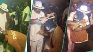 "Sacrifices have been made": Fans react as Nasboi finally meets Kanayo O Kanayo, clip trends
