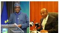 Why I cannot sack Emefiele, remove fuel subsidy, Buhari says