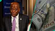 CBN unveils new plan for Nigeria’s foreign reserves, aims to reduce dollar dominance