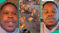 Man who emptied his savings to start layers chicken farming regrets after facing huge loss