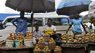 Geopolitical zones with the highest food inflation in Nigeria