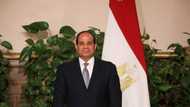 Nigeria missing as Egypt, Ghana, Morocco, 7 other countries are named as Africa's most powerful countries