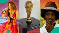 FIFA World Cup anthems: Shakira's Waka Waka, 4 other hit songs from football tournaments