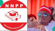 Just in: NNPP dumps Kwankwaso ahead of 2027 election: "He remains expelled"
