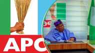 "I cannot do without the APC": Prominent Labour Party lawmaker, supporters defect to ruling party