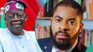 2027: Deji Adeyanju speaks on alleged plot to unseat Tinubu, “It is a wonderful gang up"