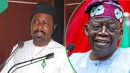 Security expert advises Tinubu on how to tackle insecurity: "Uniforms and weapons not enough"