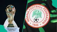 2026 World Cup: Former Super Eagles star issues warning to NFF ahead of FIFA verdict