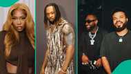 Flavour’s OVO Wembley concert: Davido's crew spotted as Tiwa Savage dances in fun video