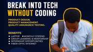 Earn as you Learn: The Bulb Africa Calls for Application for Tech Fellowship Programme