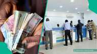 “This increase is alarming": Shareholders of Access, GTCO, other banks question N393bn levy to AMCON