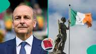 Ireland publishes names of 22 countries eligible for visa-free entry for 90 days, displays full list