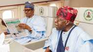 Mu ba butulu bane: Tinubu ne zan gaji Buhari a 2023, Insha Allahu, Masari ya bayyana dalilai