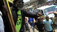 Marijuana and snakes: the maverick shaking up Kenya's election