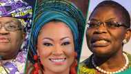 Exploring the gender gap in Nigerian politics: A call to action for inclusive governance in Nigeria