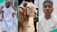 Eid-el-Kabir to remember: Femi Adebayo gifts 12-year-old boy Sallah ram, two others money
