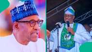 "He is likely to inherit Buhari's political dynasty": Analyst speaks on Kwankwaso's fate