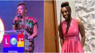 Chimamanda Adichie joins Achebe, Fawehinmi as Nigerians who have turned down national honours, team confirms