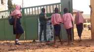 Terrible situation as public schools shun COVID-19 protocols in Abuja