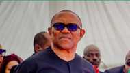 Wata sabuwa: Jam'iyyar Labour Party ta caccaki Peter Obi, bayanai sun fito