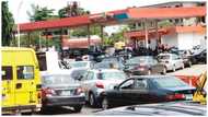 PDP chieftain reveals 1 major thing Buhari must do to end fuel scarcity in Nigeria
