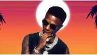 Big Wiz to Round Up 2021 with Live Performance at Vibes on the Beach Concert