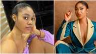 Dancer Jane Mena to take legal action against Tonto Dikeh, demands N500m compensation, actress reacts